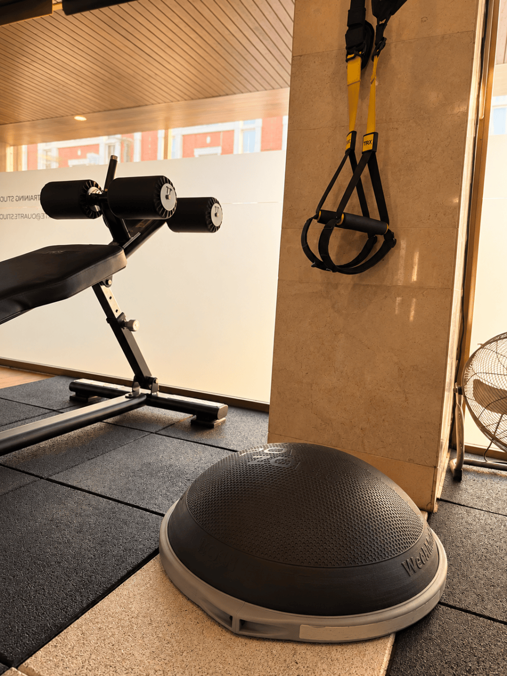 Bosu and back extension bench